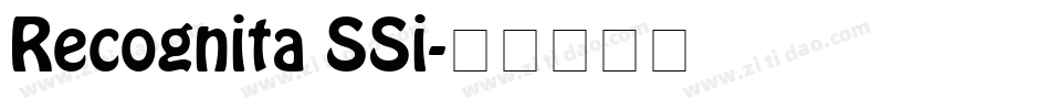 Recognita SSi字体转换